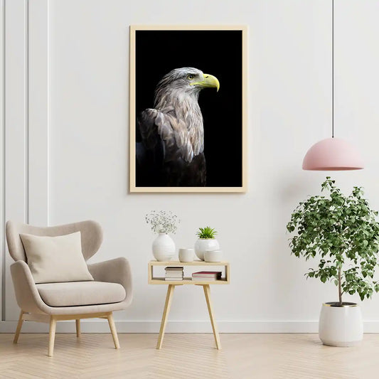 White Tailed Eagle