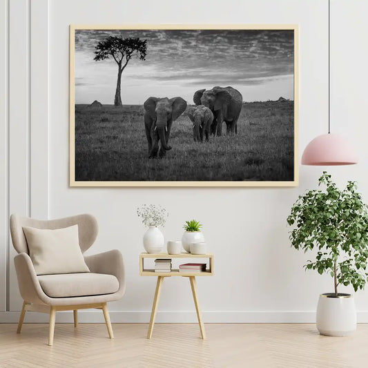Elephant Family Grazing on Sunset in Kenya Africa BW