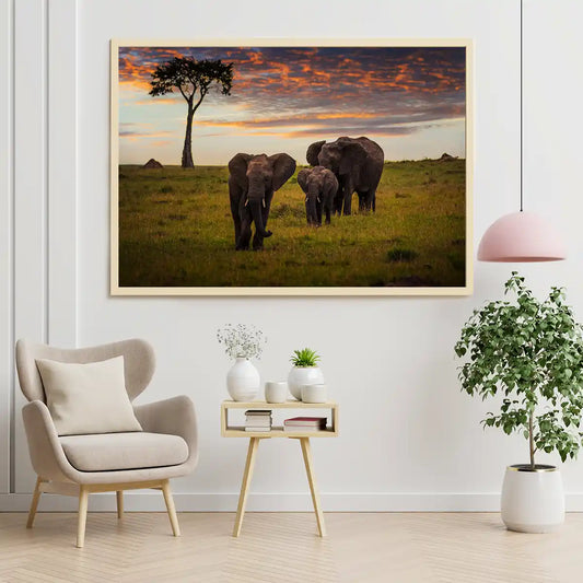 Elephant Family Grazing on Sunset in Kenya Africa