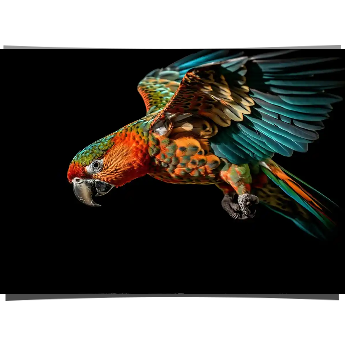 Golden Blue Macaw