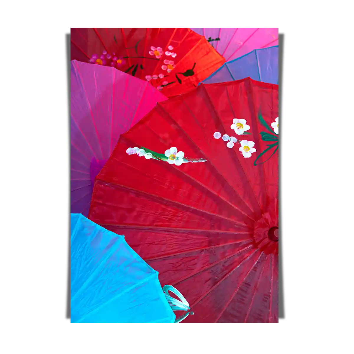 Colourful Japanese Traditional Wagasa Umbrella PL