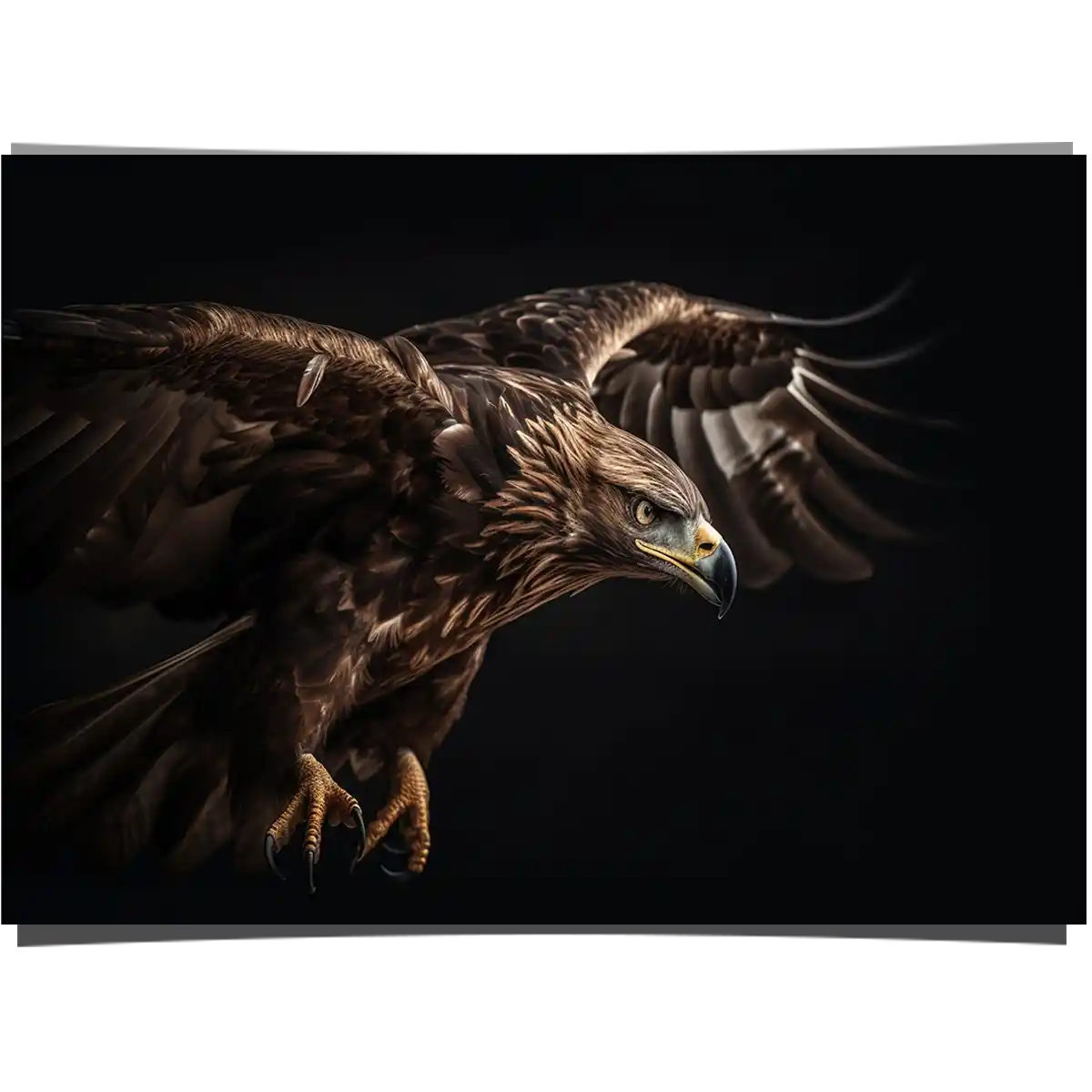 Majestic Bald Eagle