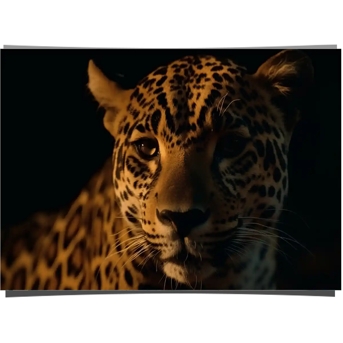 Golden Leopard