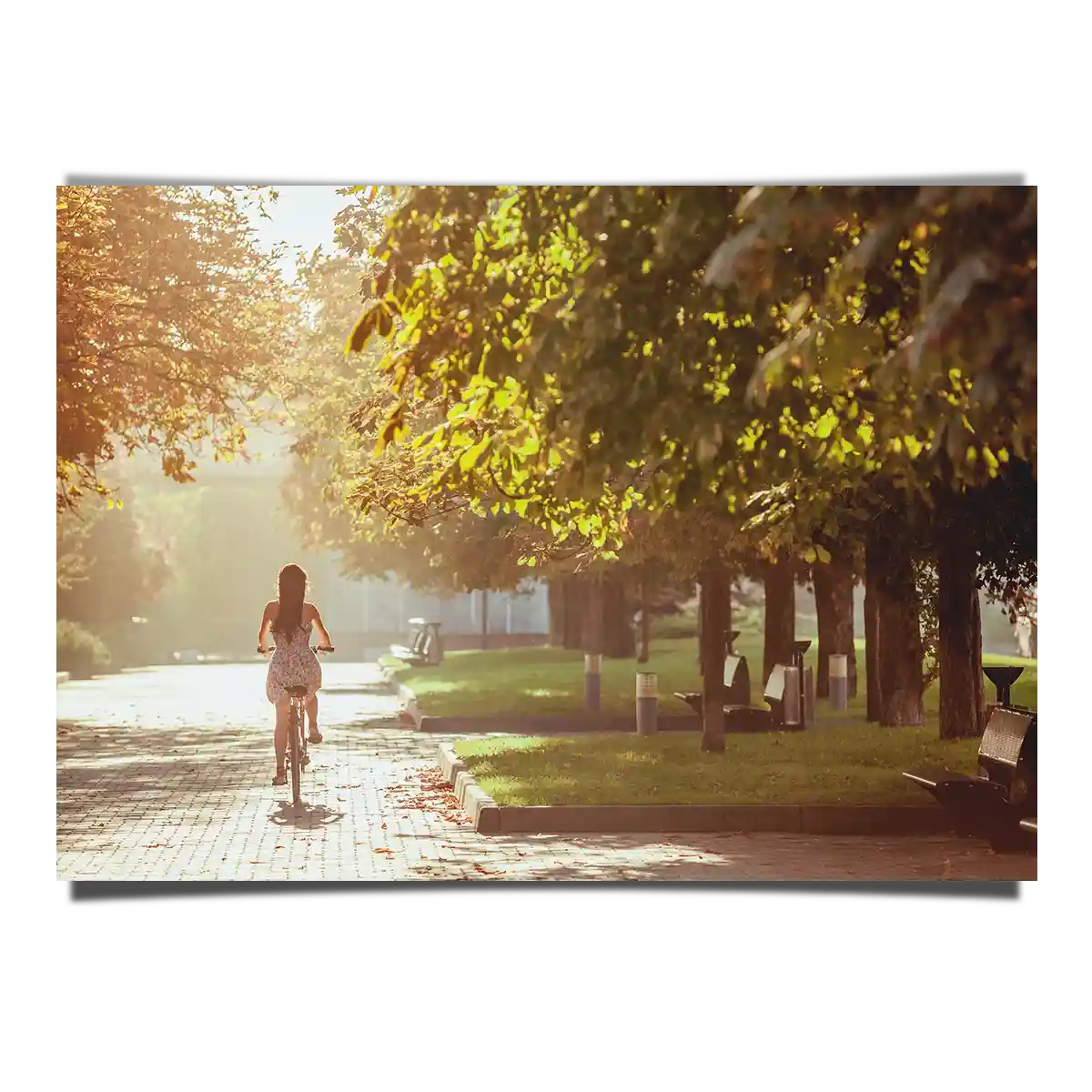 Girl Riding Bicycle at the Park with Trees in Morning Warm Sun