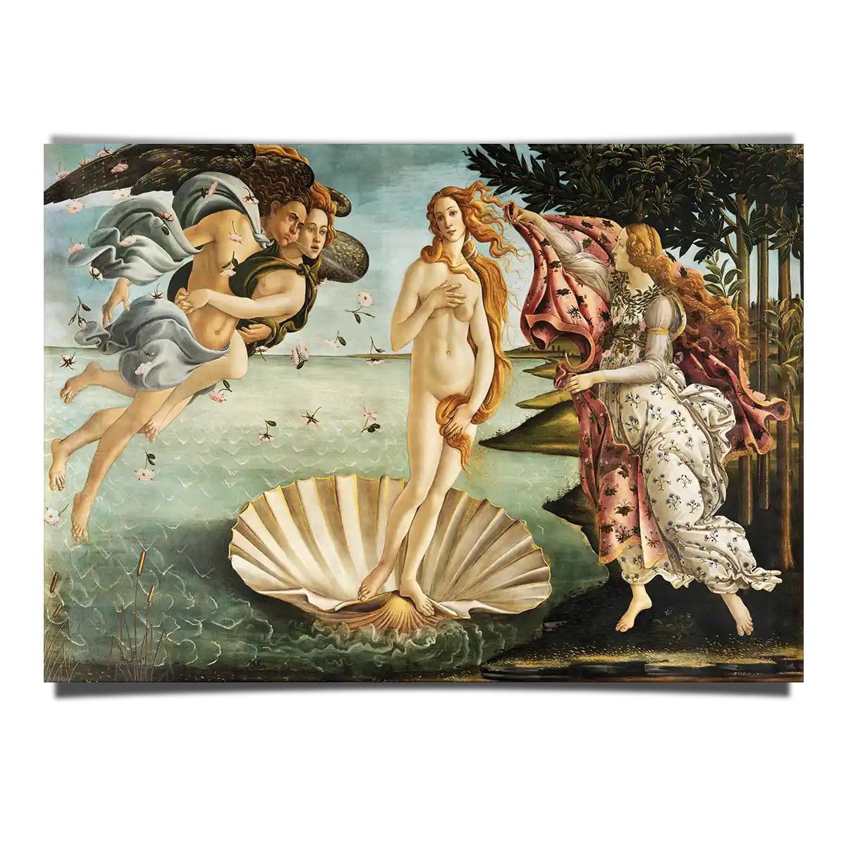 The Birth of Venus - Sandro Botticelli 1485