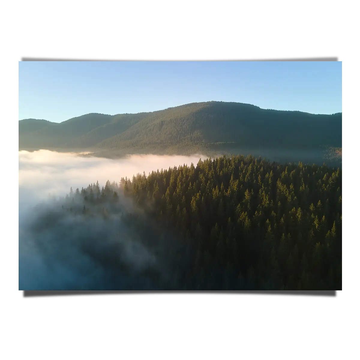 Aerial View Foggy Morning