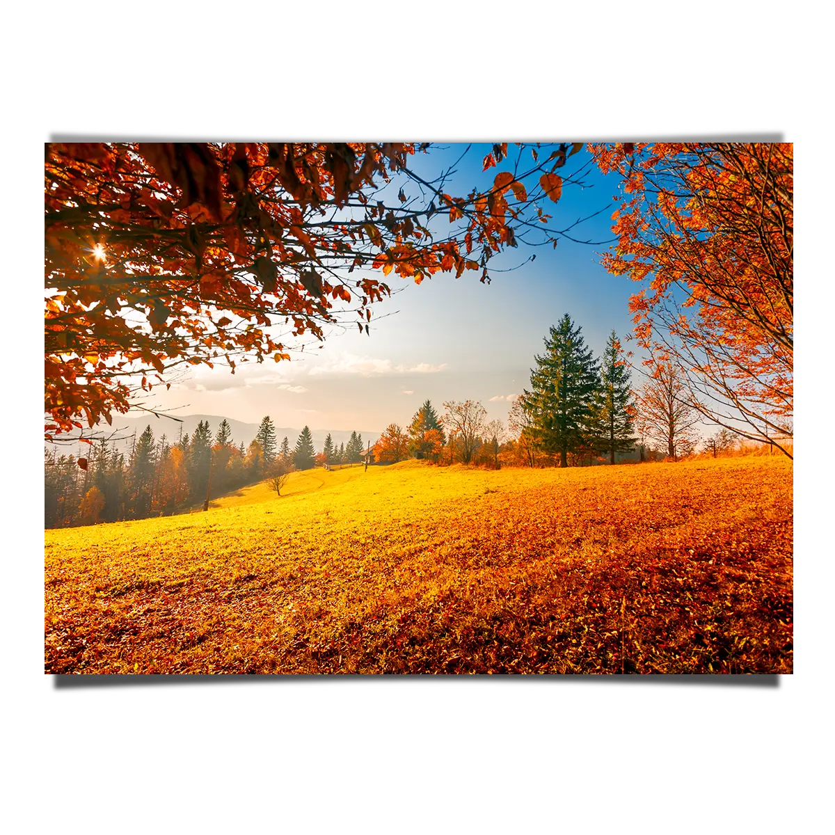 Autum Leaves on a Hilly Landscape
