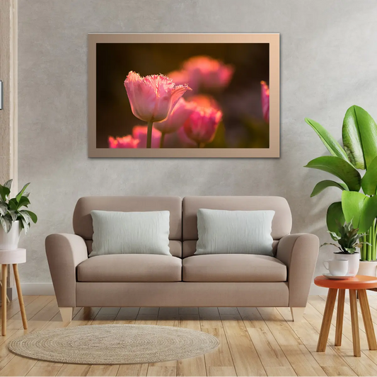 Beautiful Pink Tulip