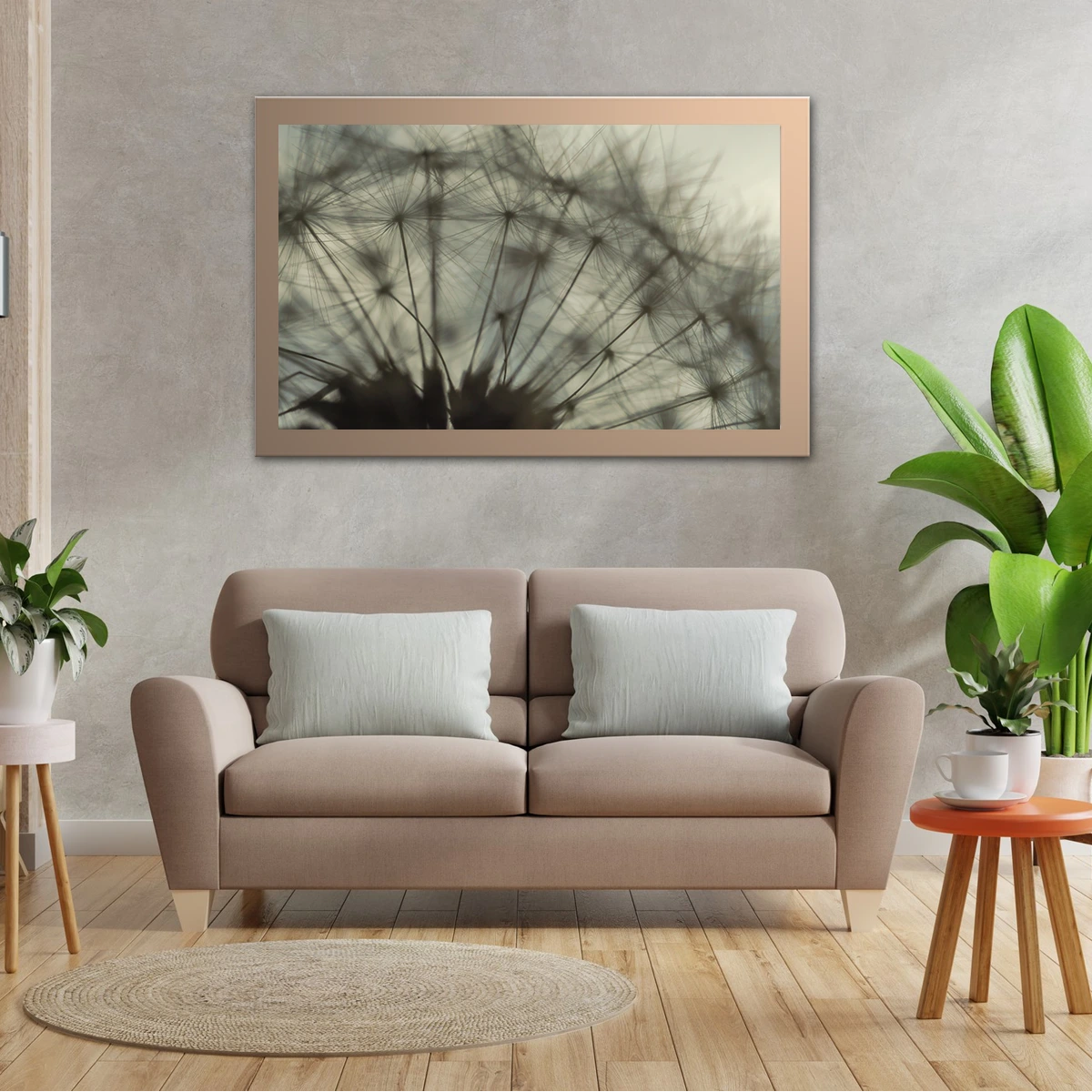 Close Up Shot Of Dandelion