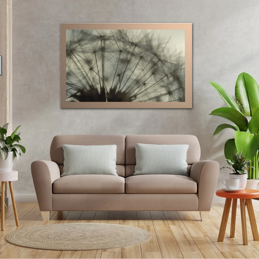 Close Up Shot Of Dandelion