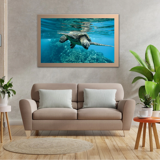 Close Up Shot Of Turtle Underwater