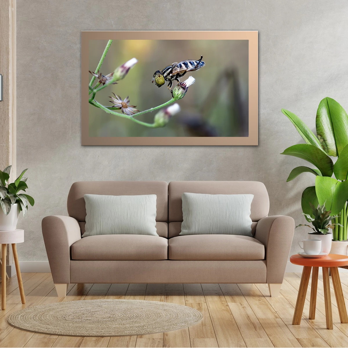 Eristallinus Hoverfly