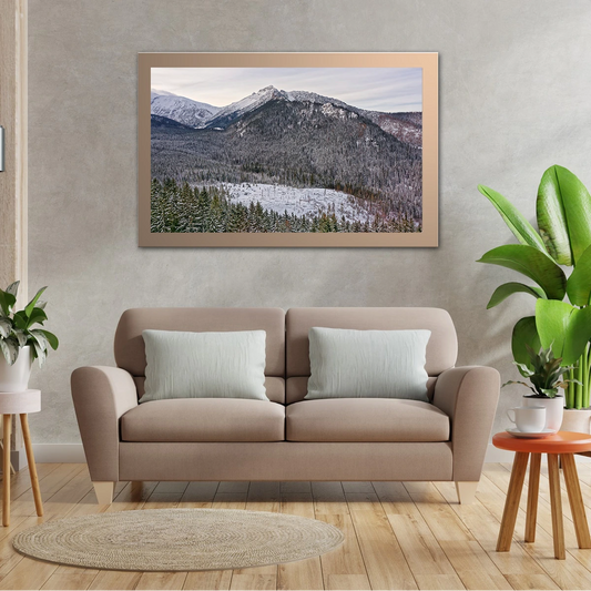 Forest in Winter Season