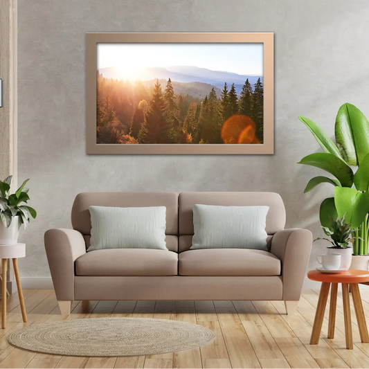 Forest Aerial View in Orange Sun Glare