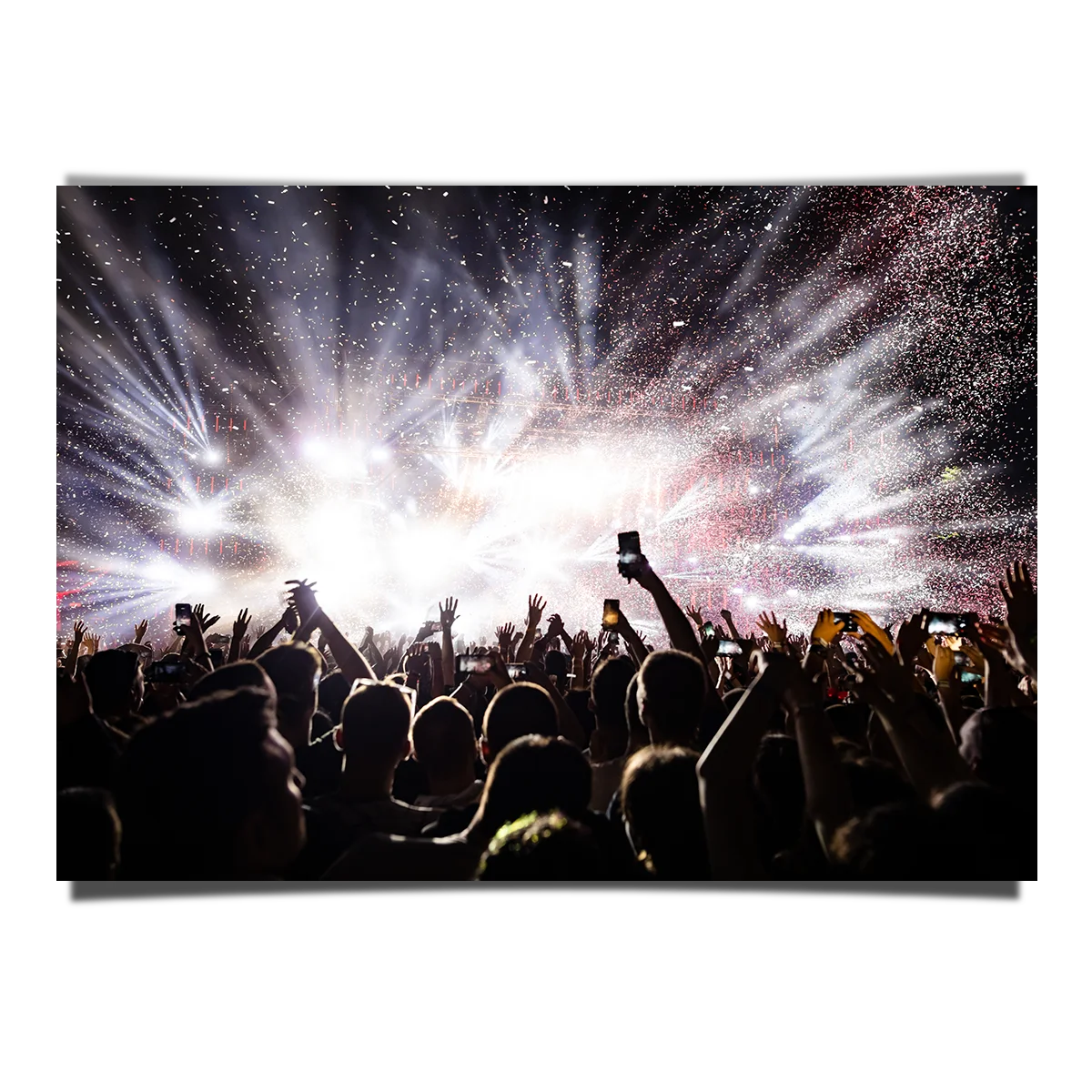 Fun Music Festival