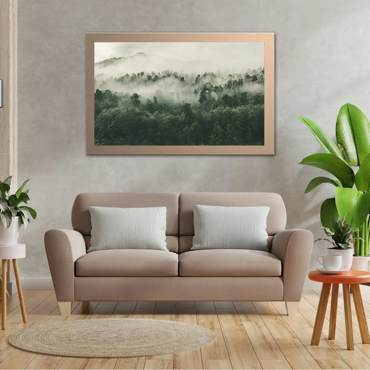 High Angle Shot Of Forest In New Zealand