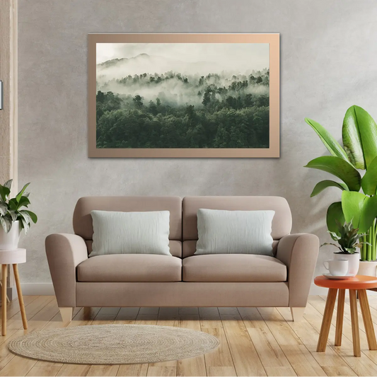 High Angle Shot Of Forest In New Zealand