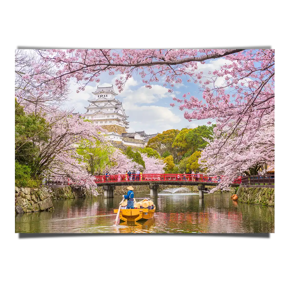Himeji Castle Reflecting at the River with Cherry Blossom at Spring in Japan