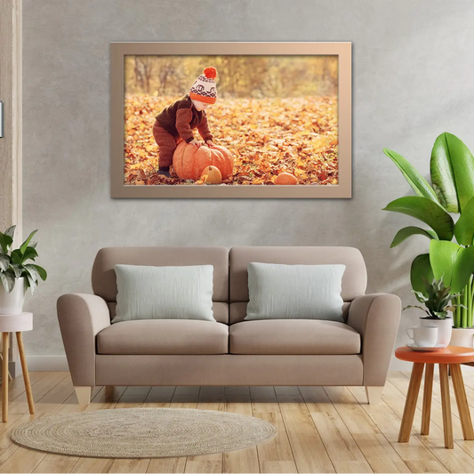 Little Boy Harvesting Orange Pumpkin in Autumn Leaves