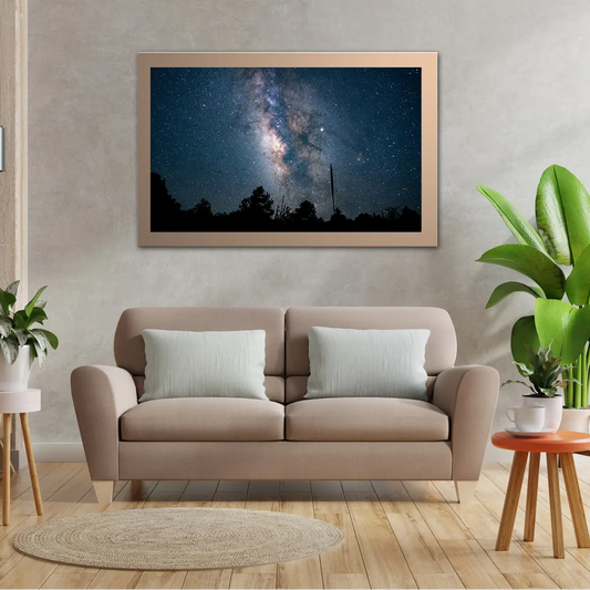 Low Angle Shot Forest Blue Starry Night