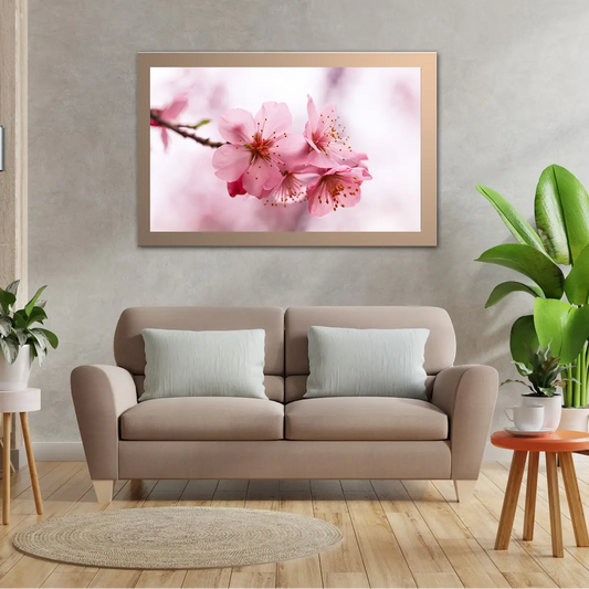 Macro Shot Of Cherry Blossoms