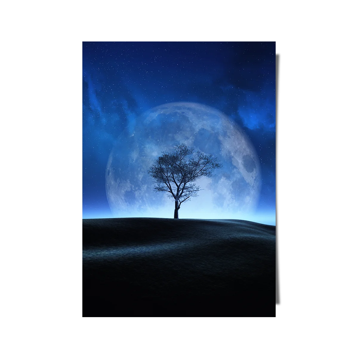 Midnight Moon