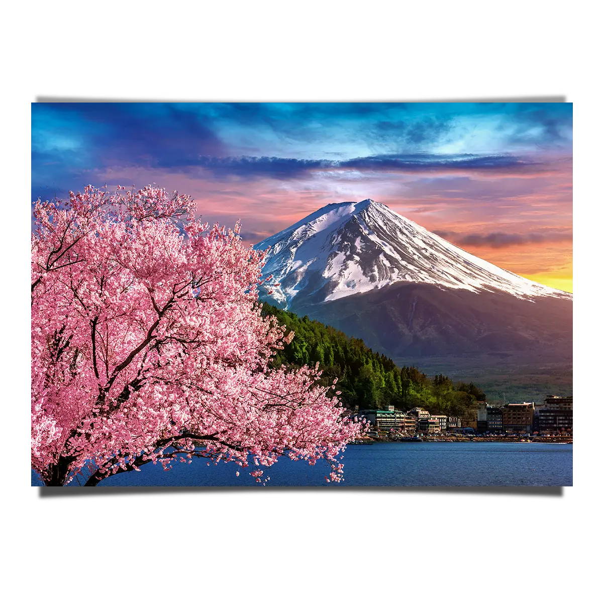 Mount Fuji In Spring Season