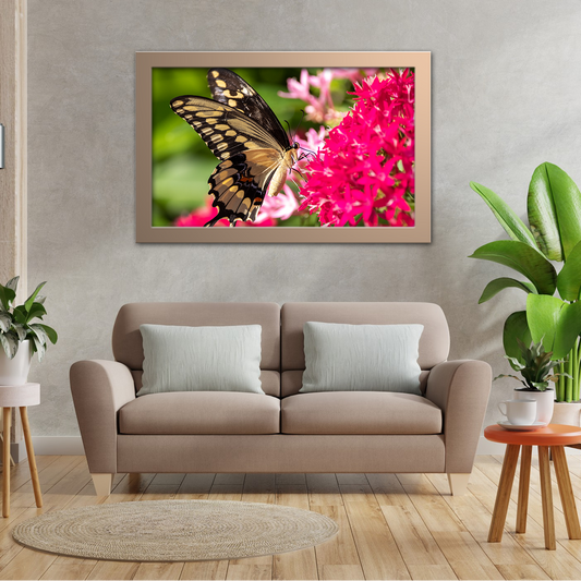 Pink Flowers And A Butterfly