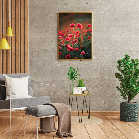 Red poppy flowers over fields