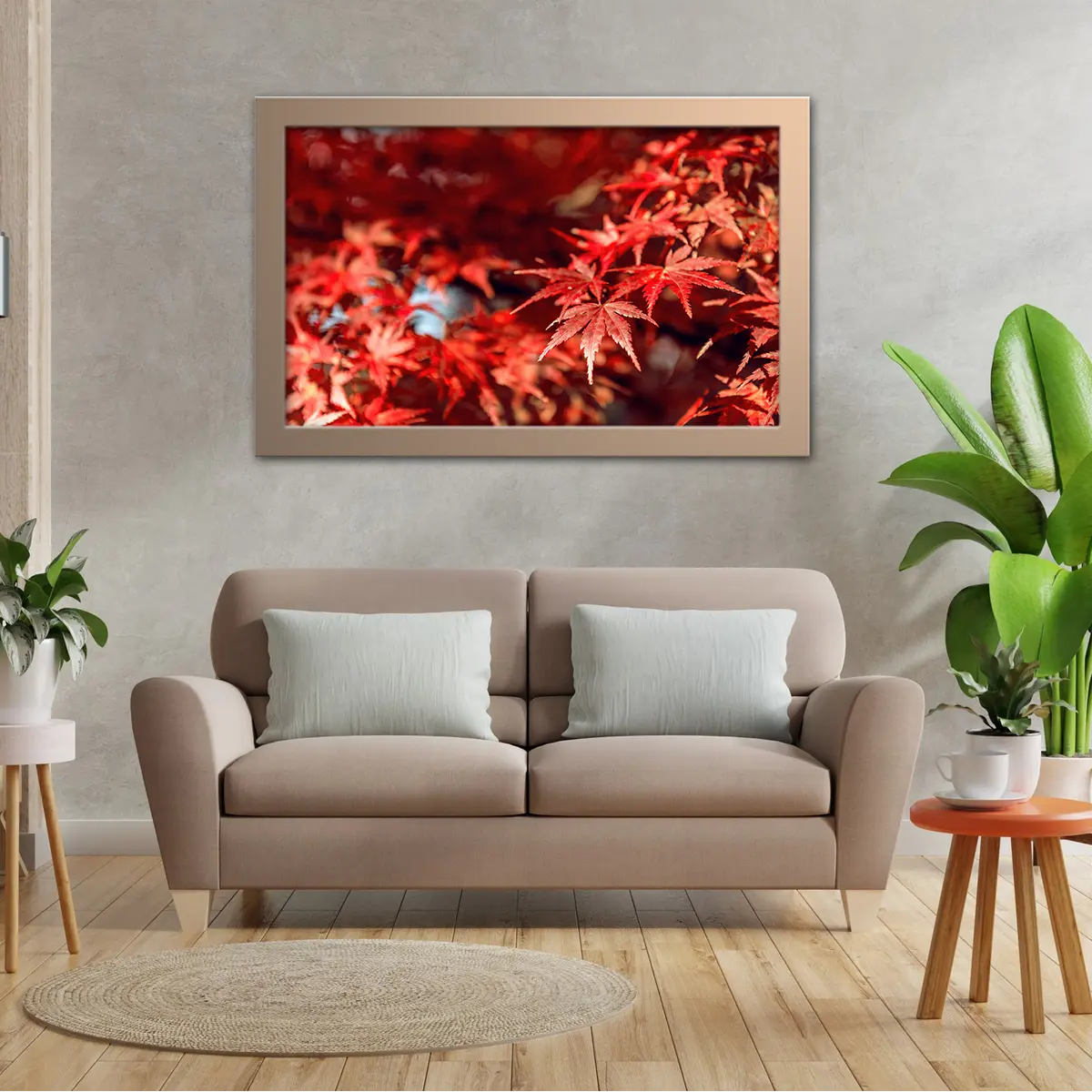 Red Maple Leaves Macro Shot