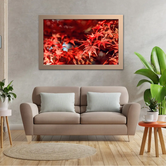 Red Maple Leaves Macro Shot