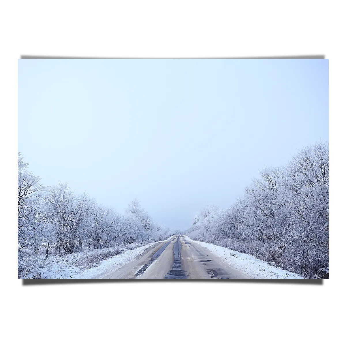 Road Covered in Snow