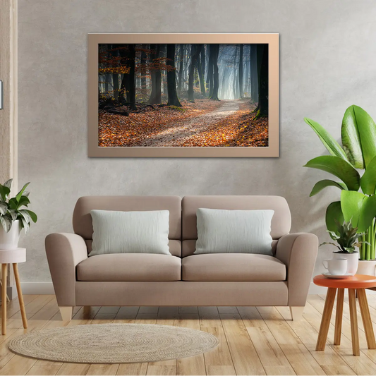 What Lies Ahead The Misty Forest Track Covered with Autumn Leaves