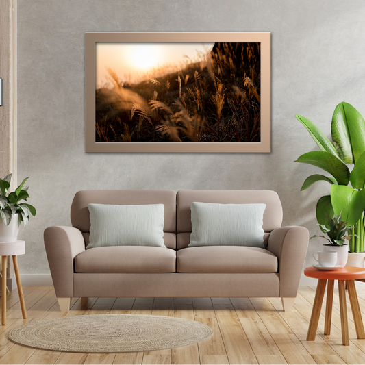 Sweet Grass Branches