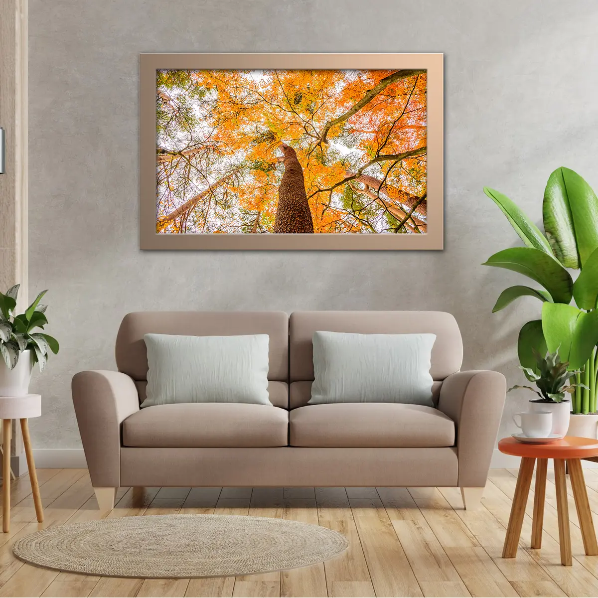 Under The Orange Maple Trees