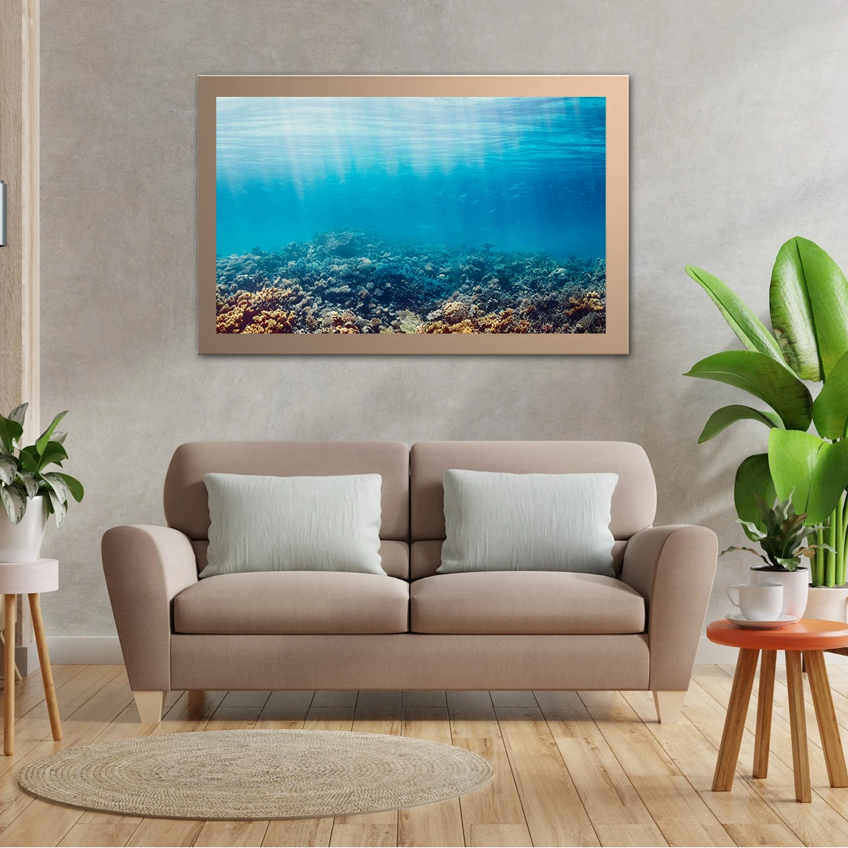 Underwater Coral Reef Red Sea