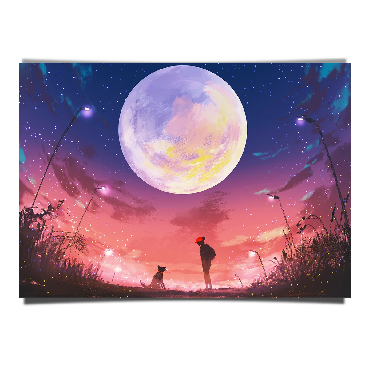 Young Woman And Dog On A Beautiful Night