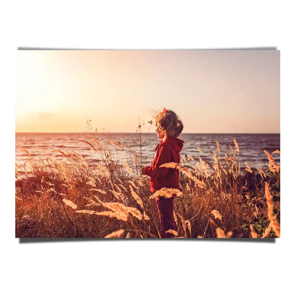Girl Overlooking at Sunset by the Bay with Grass Field