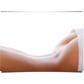 The Curves of a Woman's Body