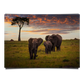 Elephant Family Grazing on Sunset in Kenya Africa
