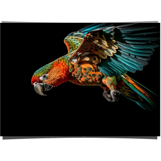 Golden Blue Macaw