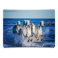 Herd of White Camargue Horses Running Along Water