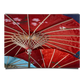 Colourful Japanese Traditional Wagasa Umbrella