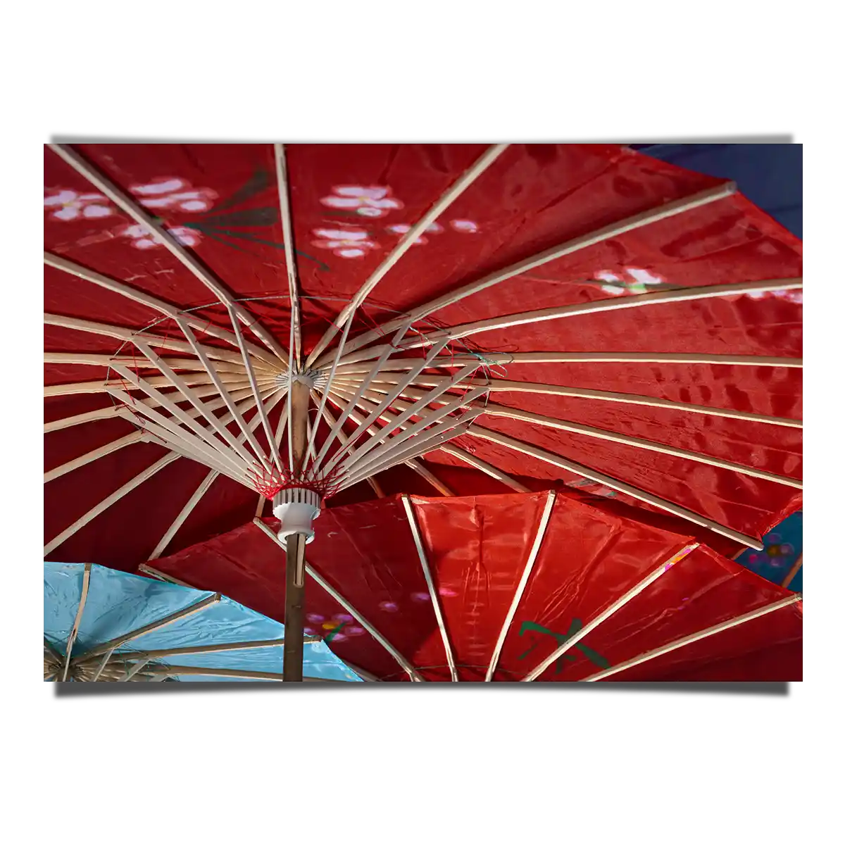 Colourful Japanese Traditional Wagasa Umbrella