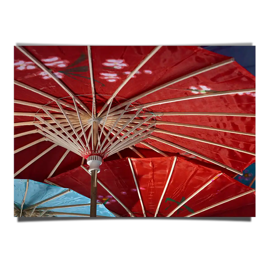 Colourful Japanese Traditional Wagasa Umbrella