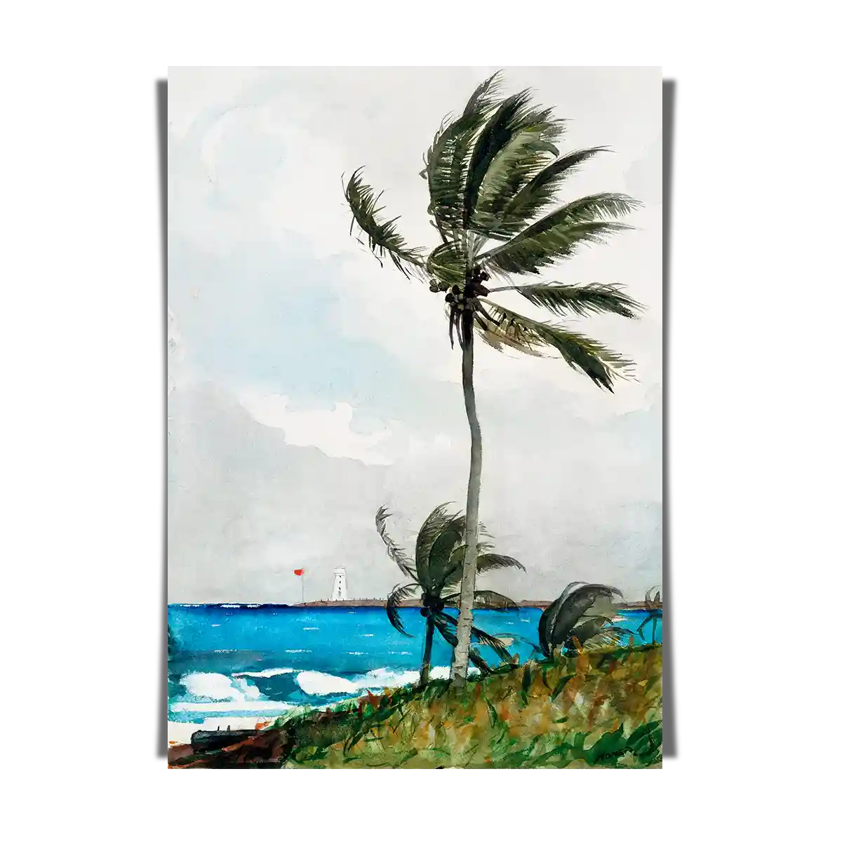 Palm Tree Nassau by Winslow Homer 1898