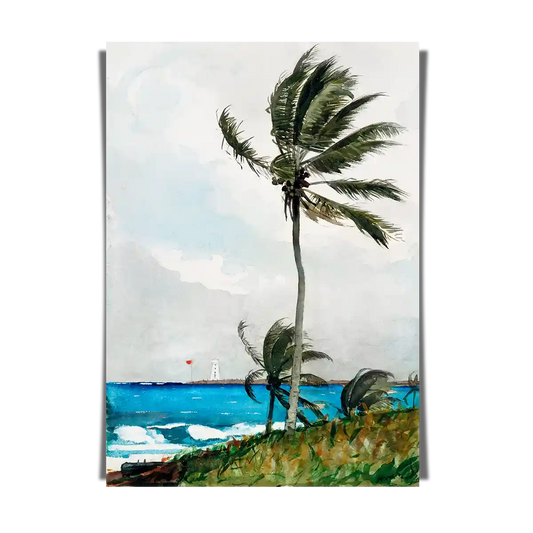 Palm Tree Nassau by Winslow Homer 1898