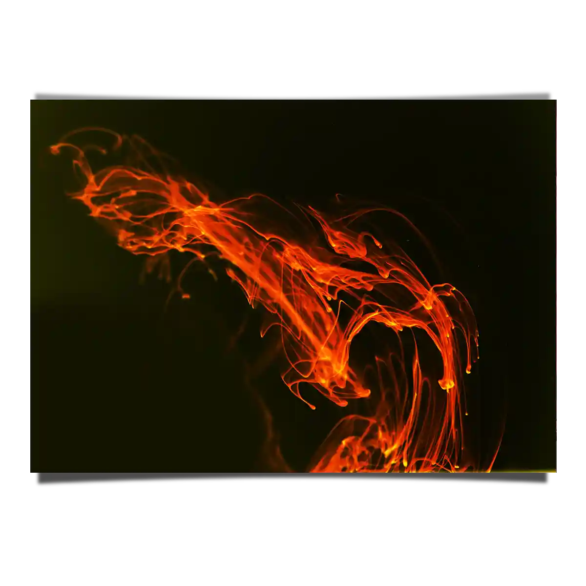 The Sparkle of Fire Digital Art