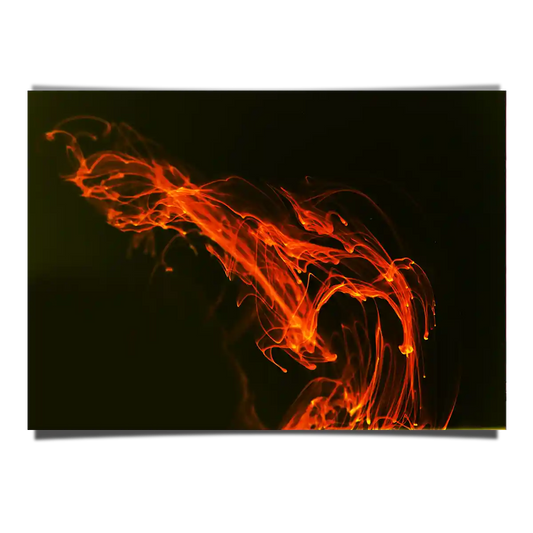 The Sparkle of Fire Digital Art