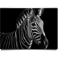 The Stripes of a Zebra
